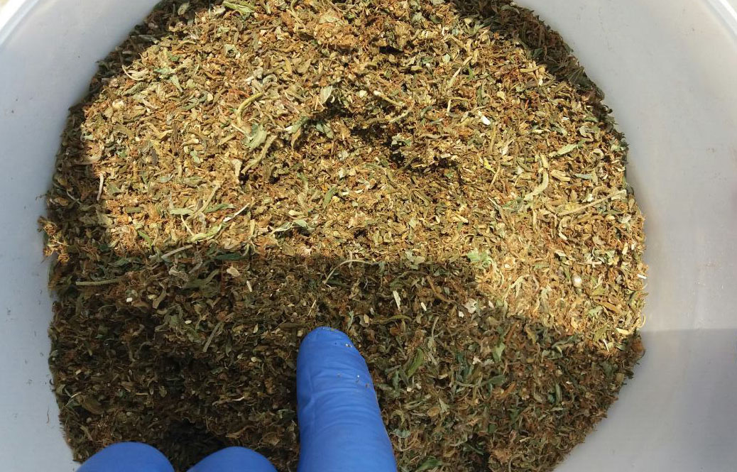 Zaplenjena marihuana 1.7kg, uhapšen osumnjičeni u okolini Velikog Gradišta
