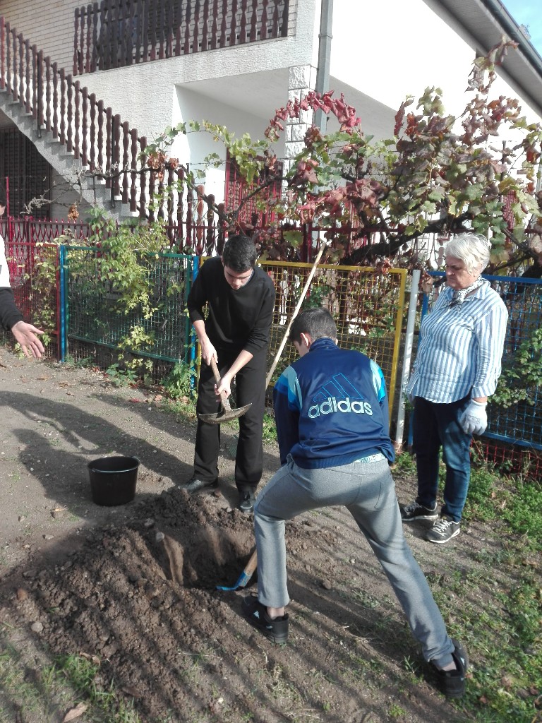 ŠG „Severni Kučaj“ Kučevo u akciji ozelenjavanja predškolskih ustanova i škola u Požarevcu