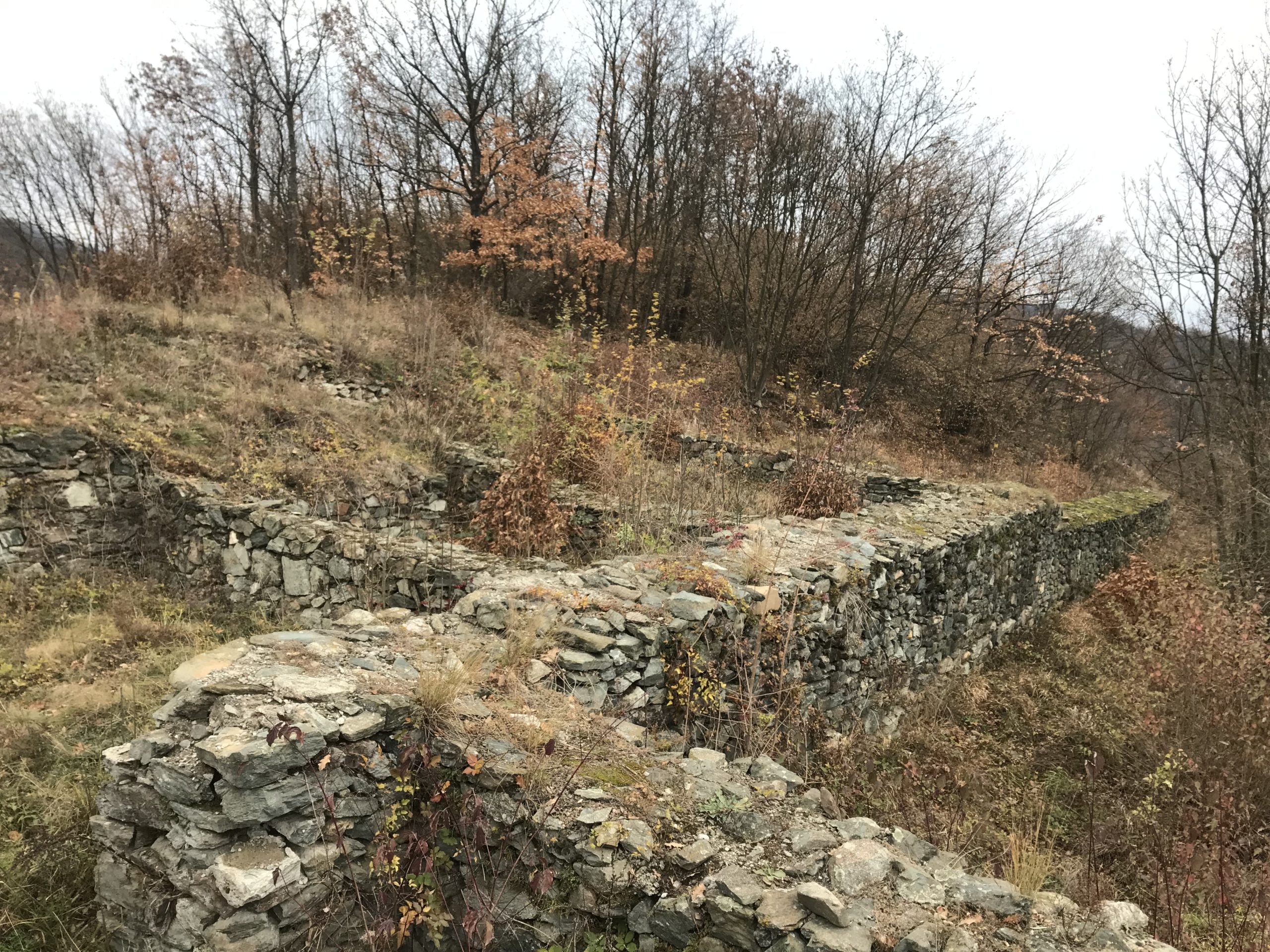 DA LI STE ZNALI DA SU GERMANI BORAVILI U BRANIČEVU PRE SLOVENA – SRBA?