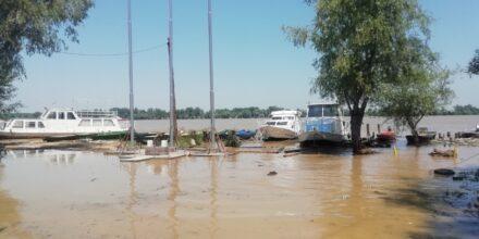 ODLOŽENE „Somovijada“ u Brežanu i „Čorbijada“ u Dubravici FOTO