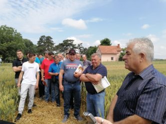 Poljoprivredna savetodavna i stručna služba Požarevac: DANI POLJA OZIMIH STRNIH ŽITA