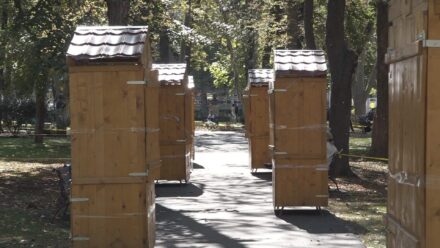 Požarevac: prvi HUMANITARNI BAZAR u gradskom parku, ovaj put za Pavla i Dušana