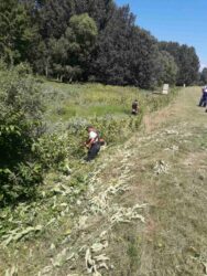 „VODOPRIVREDA“ D.O.O. POŽAREVAC: Primetan napredak u redovnom održavanju vodnih objekata