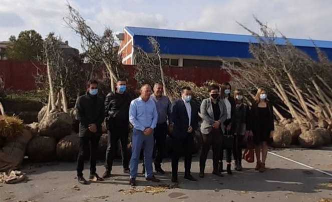 Nastavlja se realizacija projekta formiranja novog drvoreda u Kostolcu