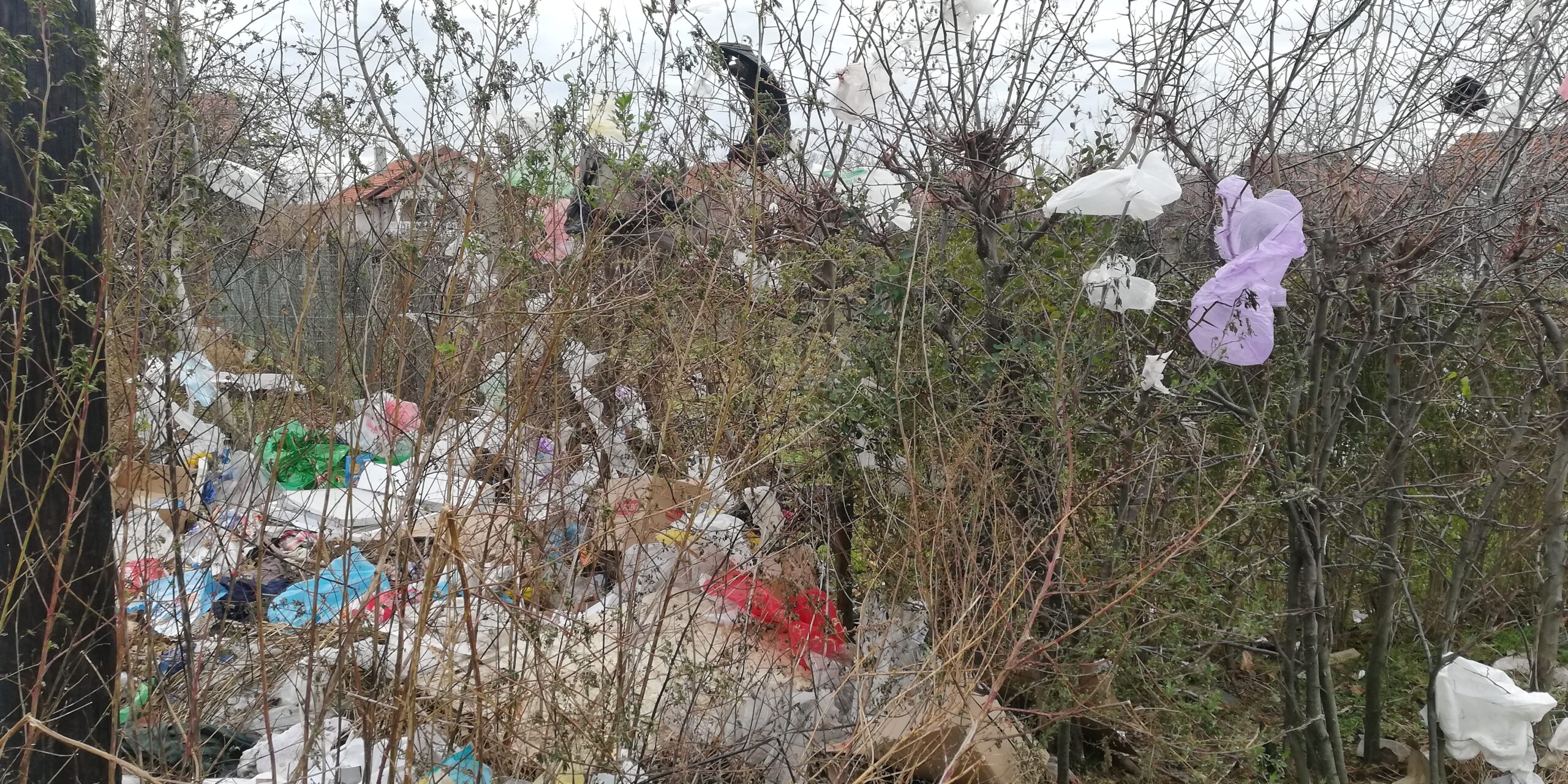 Naselje Busije u Požarevcu prvo „okićeno“ za predstojeće praznike