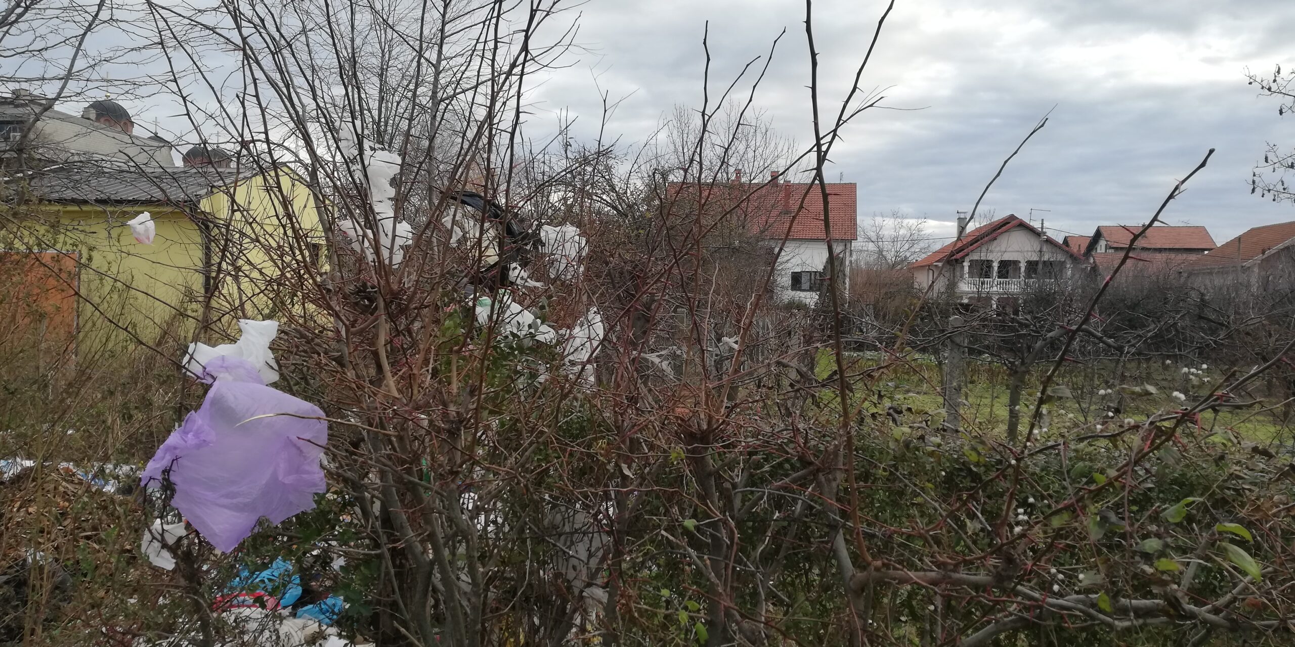 Naselje Busije u Požarevcu prvo „okićeno“ za predstojeće praznike