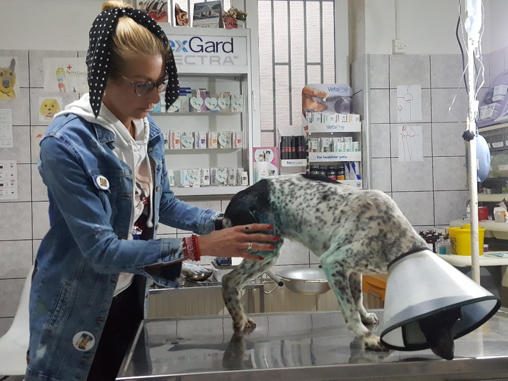 Dobre i loše strane odluke o držanju životinja u Požarevcu (1. deo)
