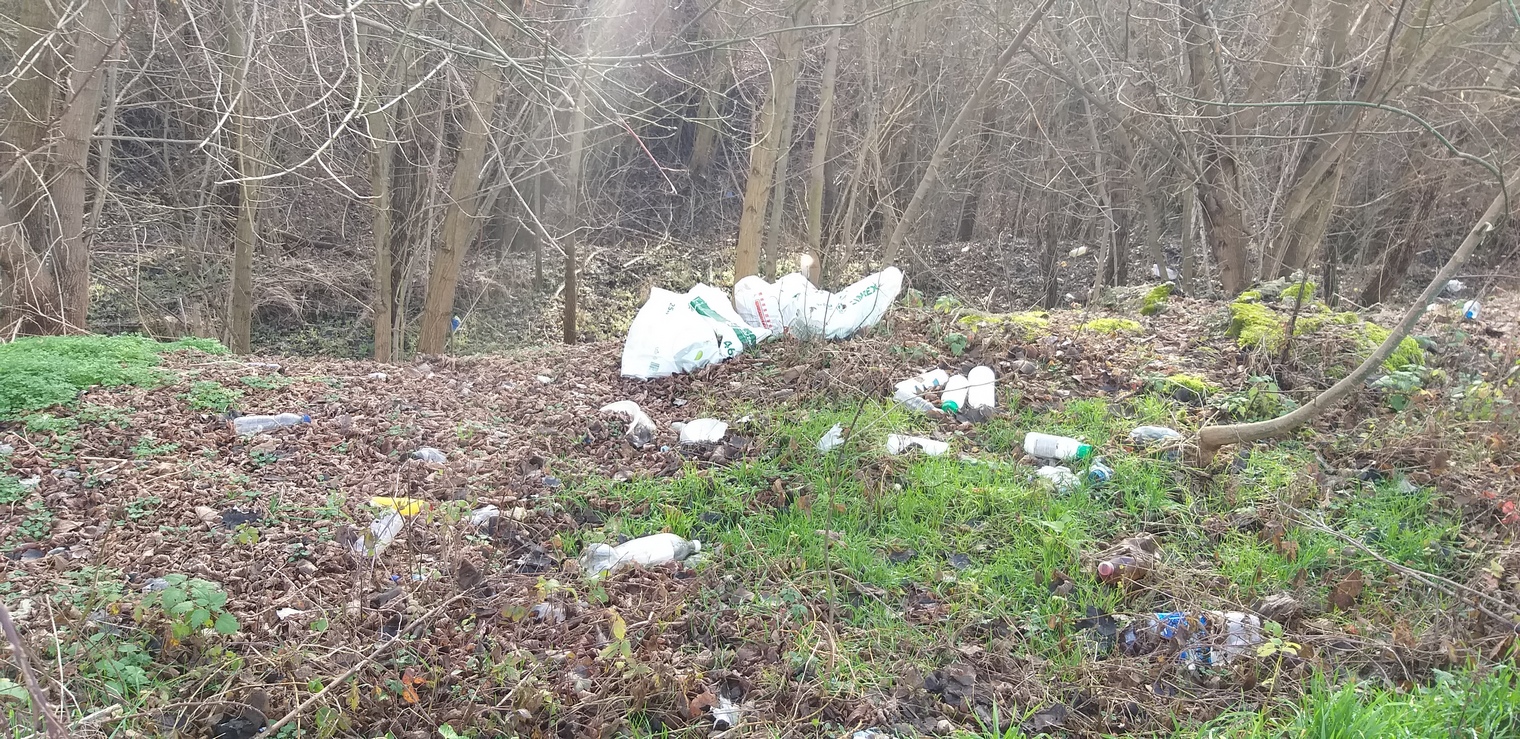Zašto svi okreću glavu od velikog problema koji je svuda prisutan oko nas?