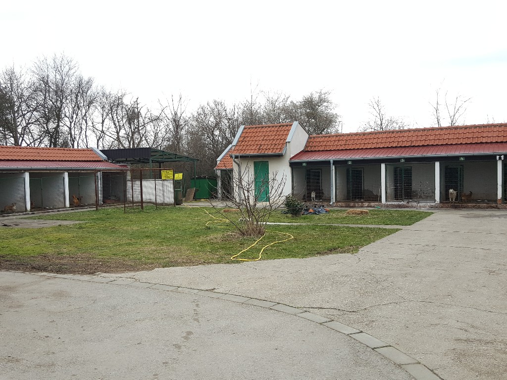 Prihvatilište za pse i mačke u Požarevcu uspešno zbrinjava životinje već 14 godina