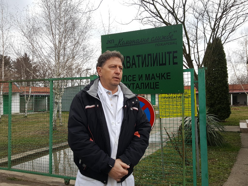 Prihvatilište za pse i mačke u Požarevcu uspešno zbrinjava životinje već 14 godina