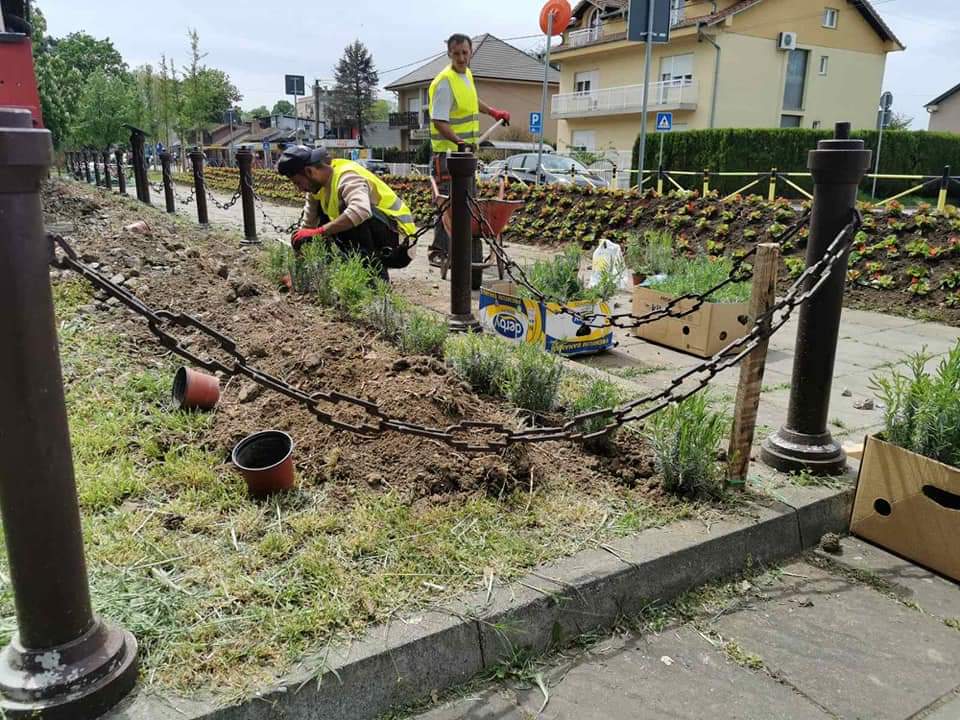 Nova cvetna dekoracija u Kostolcu